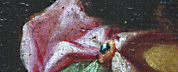 restauro conservativo, le fasi